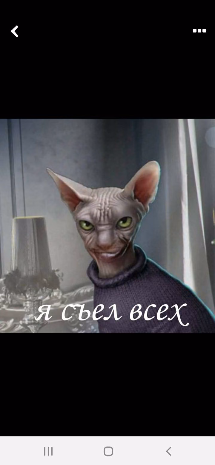 8a90b403c29d690197cd62767818b507.jpg
