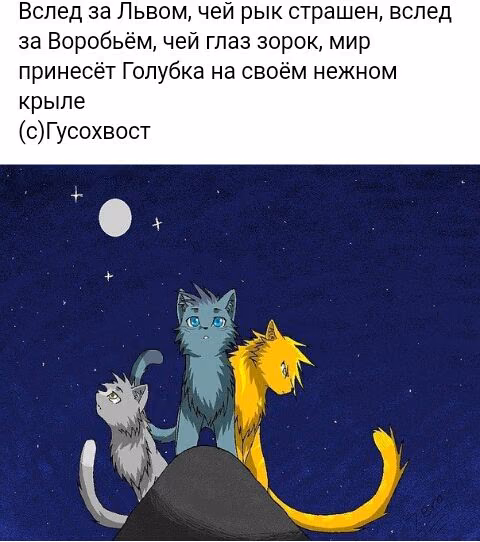 8a984c16bfafda52c3c828de40d1fbec.avif