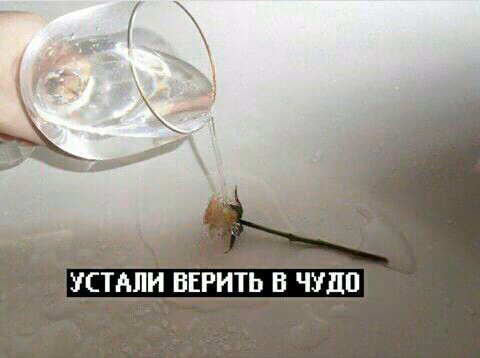 8a9a117199f68a5a0931b10d6e13becc.jpg