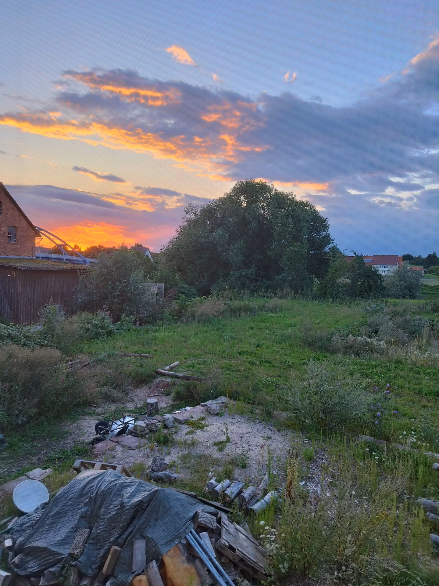 8aa610cb2564c6df444a1cbe602f4131.jpg