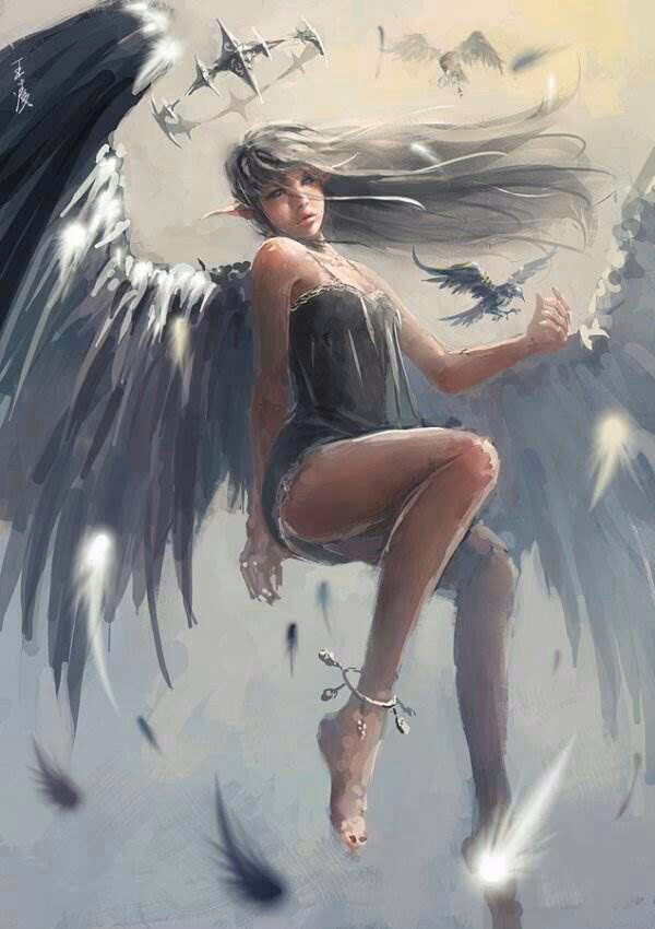 8aa9df705b57a119ba7ebfc894a23d6a.avif