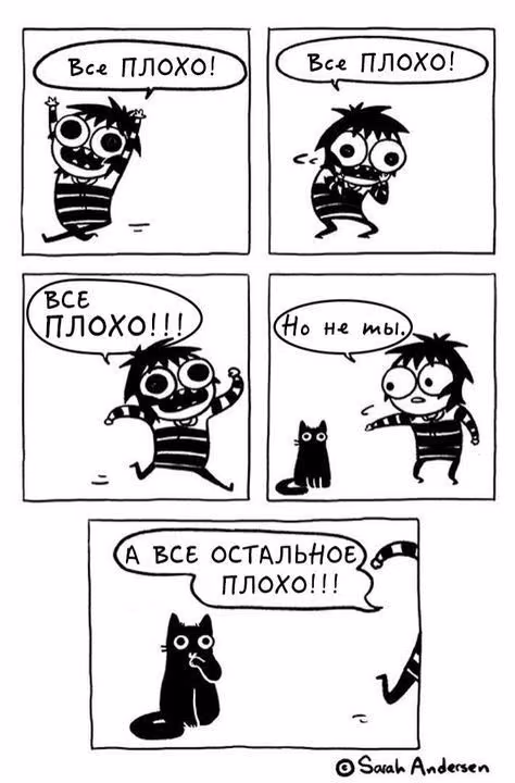 8aa9eef1363a164c9e68e5f5069496e5.jpg