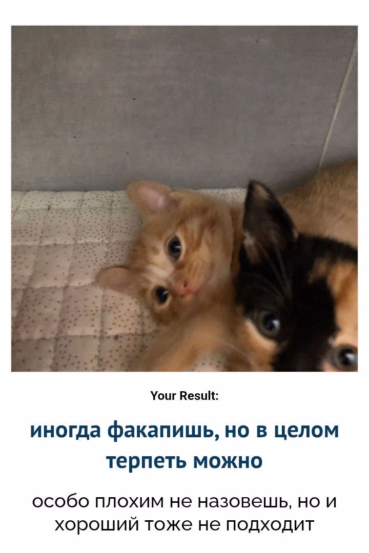 8aab5422be8fdc9e05dcd8a2d349c82a.jpg