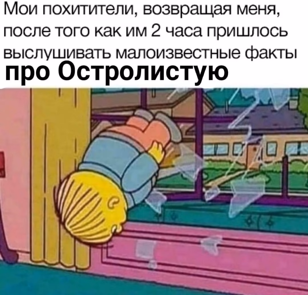 8ac8cc48412f5e79d3f101419cf9c03b.avif