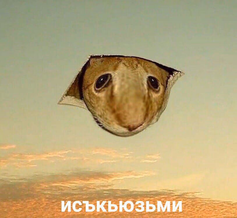 8acc2d4526c6831c3d23093c3ca7c064.jpg