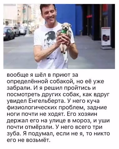 8adaebc8d7f63de0b805ba753ec00ccd.jpg
