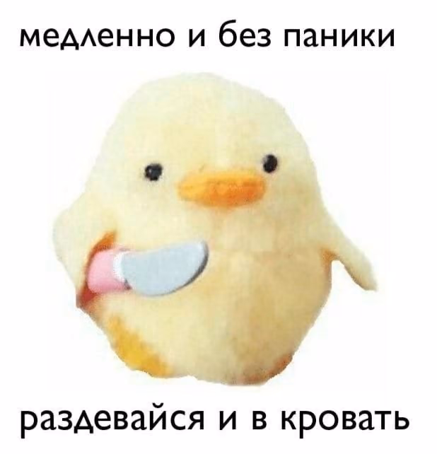 8addc4c7ebe429beb8b1598b9d12c217.avif