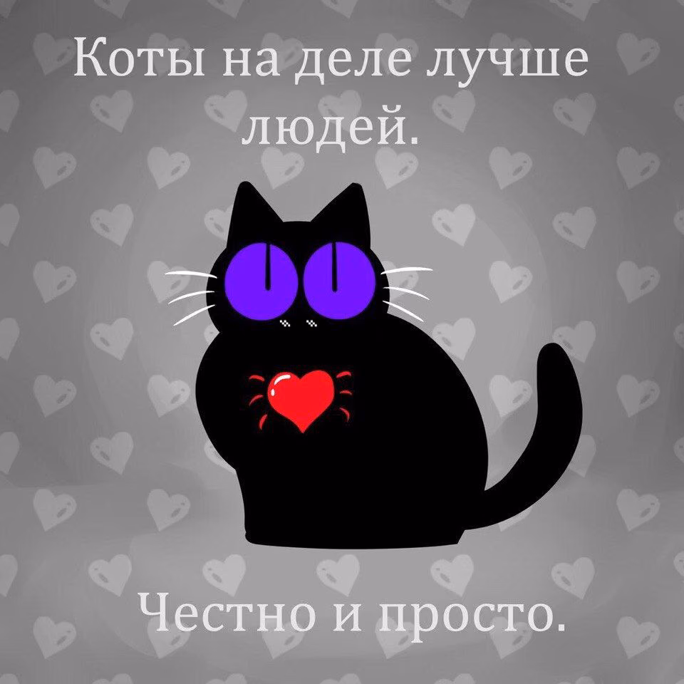 8af9248c0e8001f09195a263d192af73.jpg