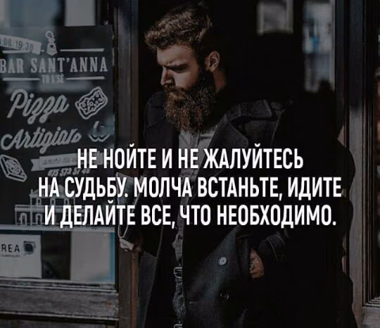 8b032d40a26ed02fd98858a6daf8e1d8.jpg