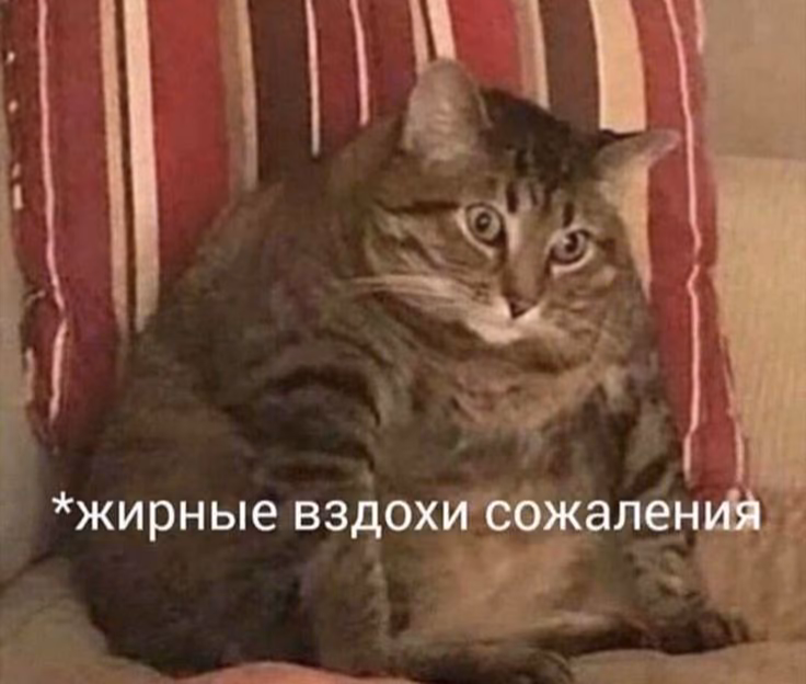 8b07f832fb42727e96635ffb5e75ac41.jpg