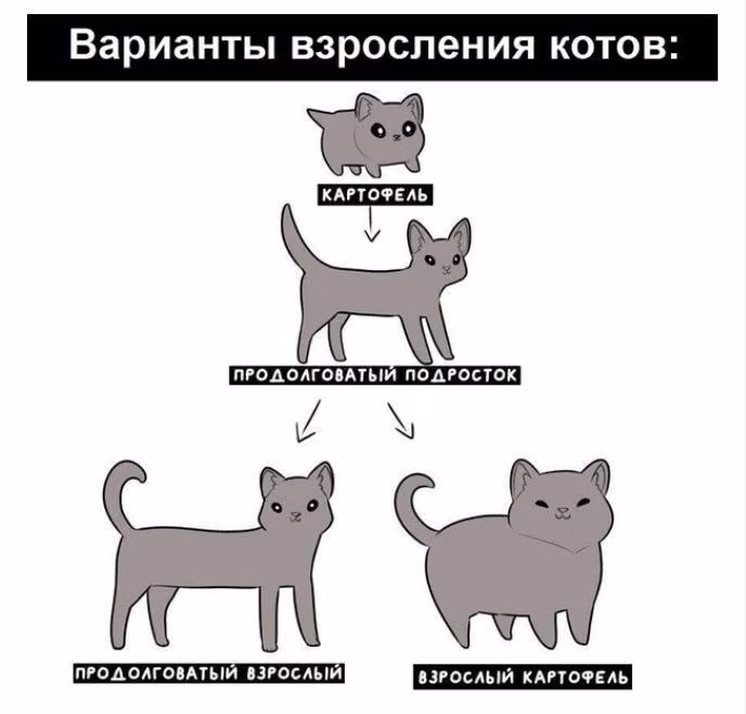 8b085a31b3299984d63801eade682b06.jpg