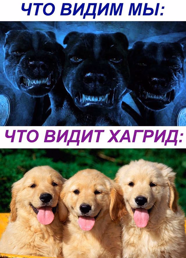 8b198b73c2a6fca5d54da2cd5fdcb42f.avif