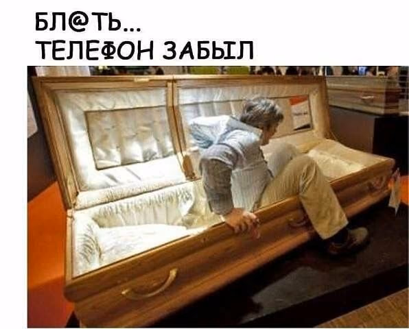8b1fa755175484a026161533bd86649c.avif