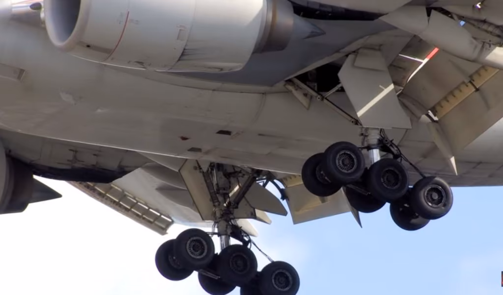 8b2838a26991b43fa9d558c2a2dc88da.avif