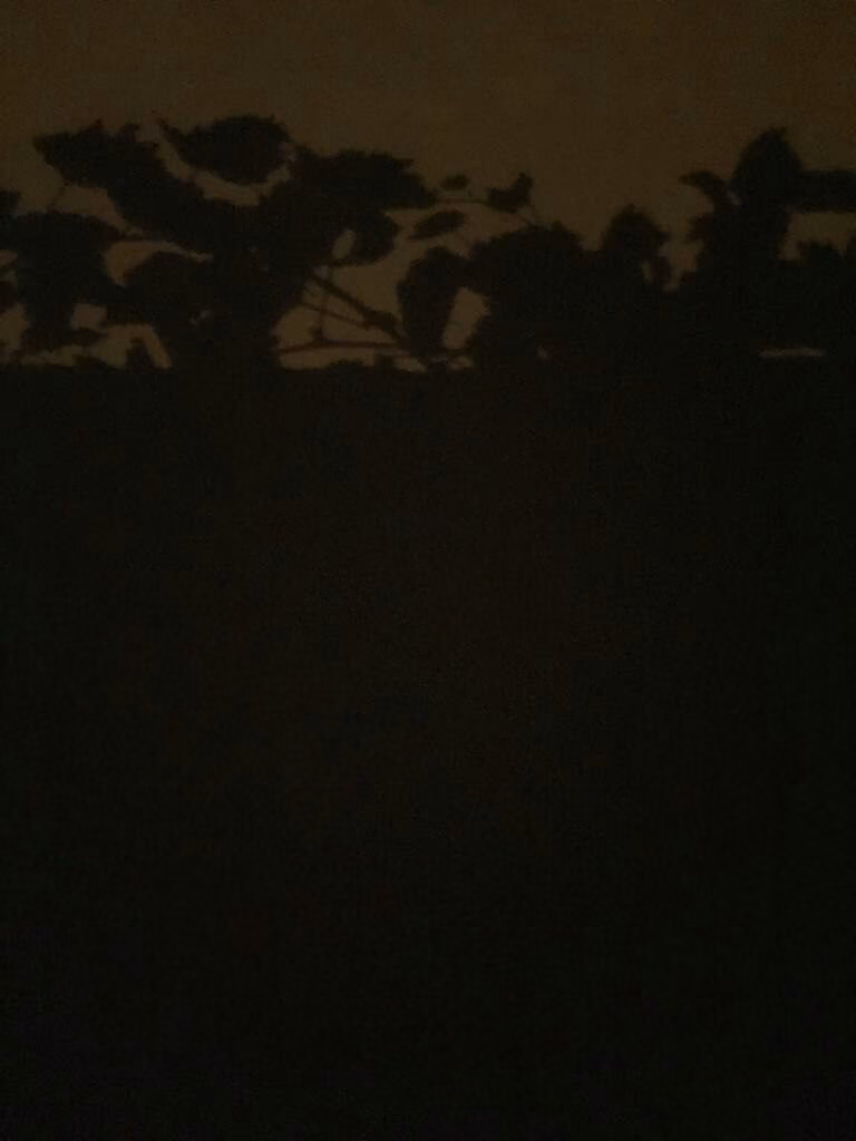 8b2e906e3df6255a3fa17298d9beacf4.jpg