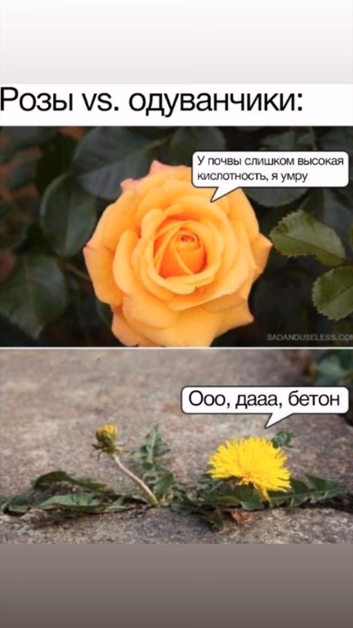 8b34f6d5d8f805f390fc5c4f4a320717.avif