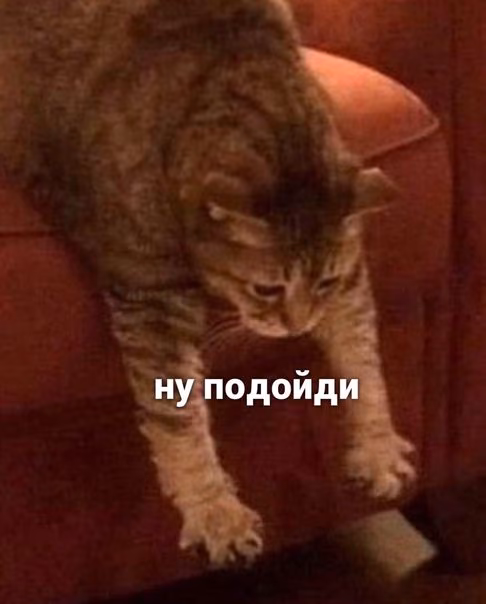 8b37141c94192b792f8555941e34a3b1.jpg