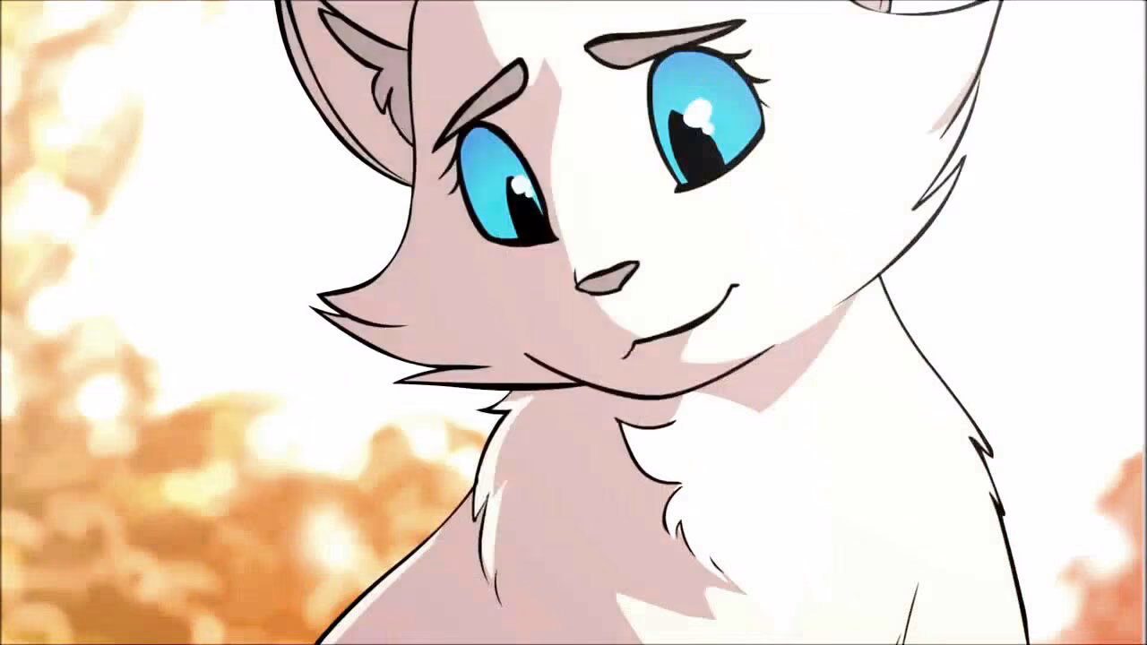 8b3e88c47a5efbd8fe498c641b24cf2b.jpg