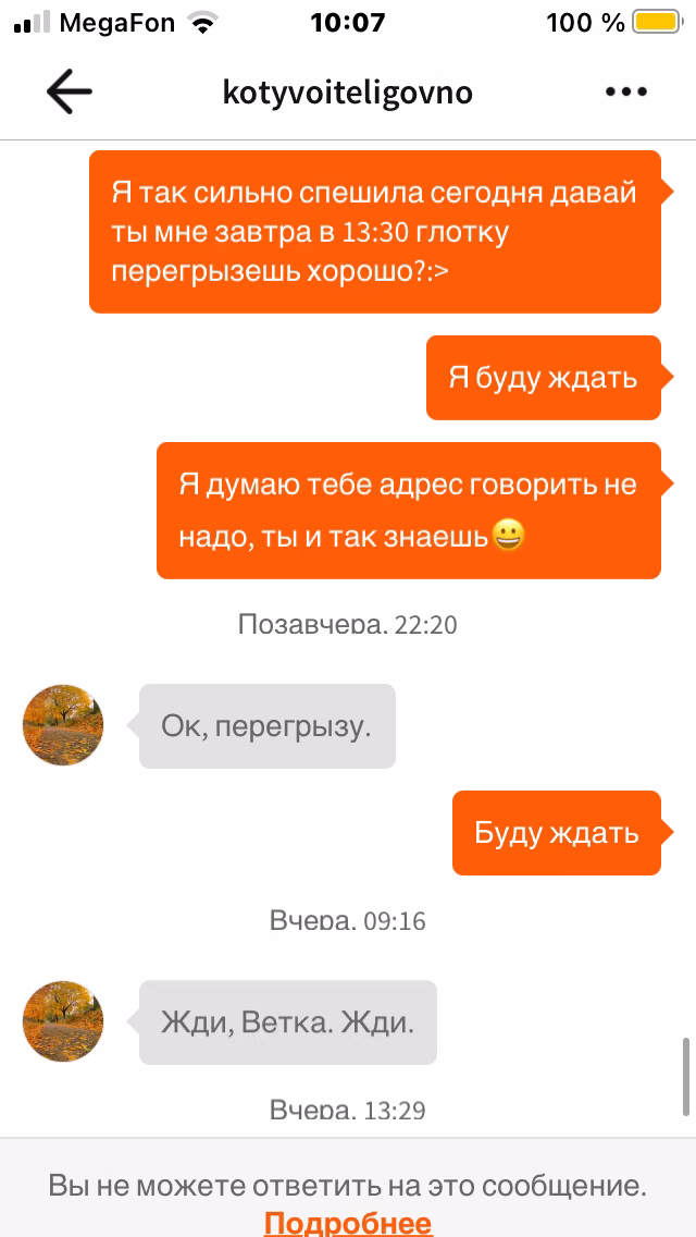 8b43017a89adb2ca64253b52a0d2edec.jpg