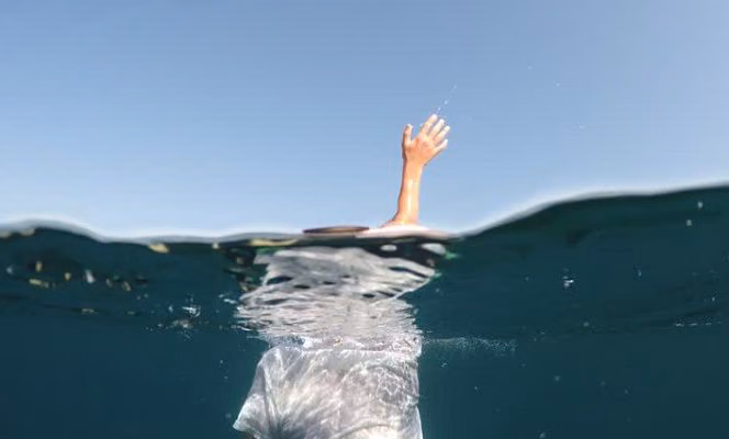 8b46b7c5b729a2ee5cec12d7ad1d86b6.jpg