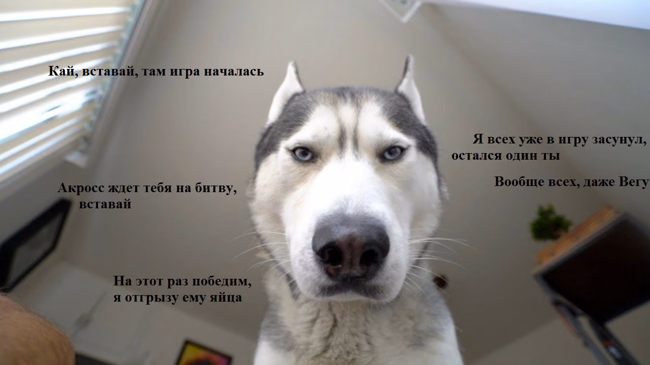 8b4b8a1917ca4a368130afddddb050c4.avif