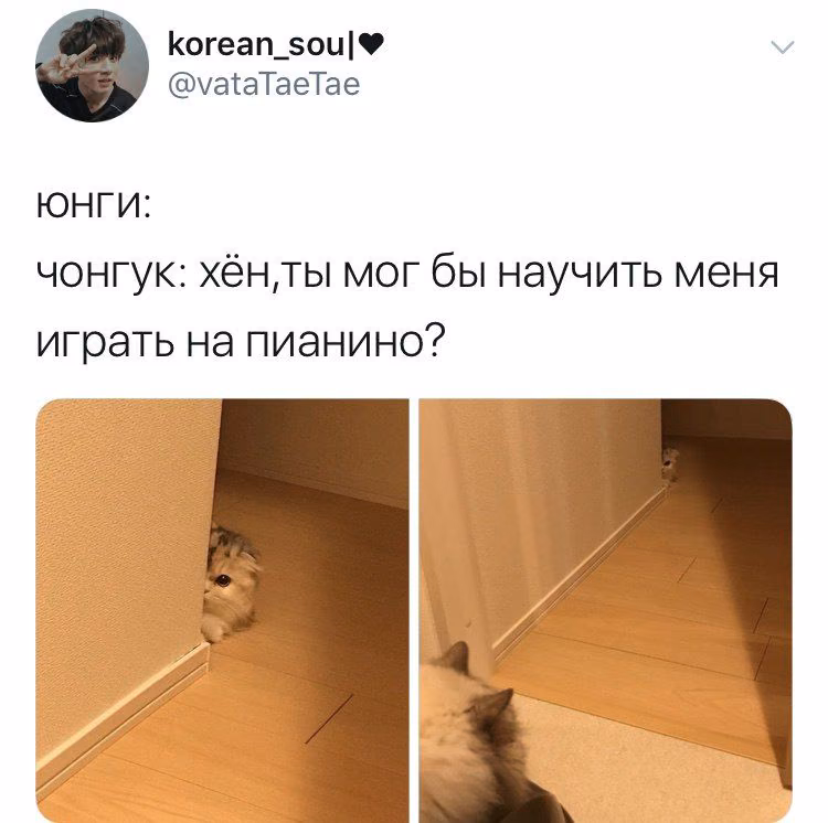 e2ce9bba63fc2706b759014a383f4e3b.jpg