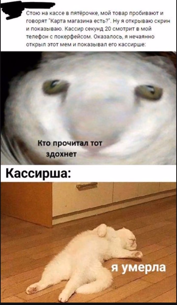 8b612114fe4fe828dd4fe557f59c9d5a.avif