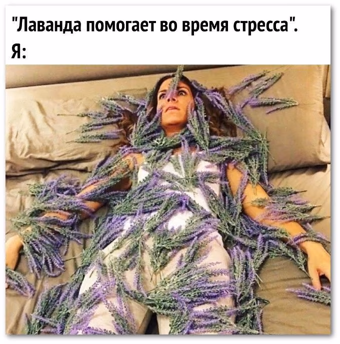 8b61b4a30aefb6ab45d533a4c9b4a094.avif