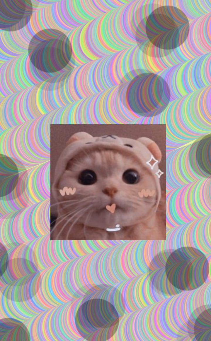 8b63a55d2b66710eb2e252baab9edbff.avif
