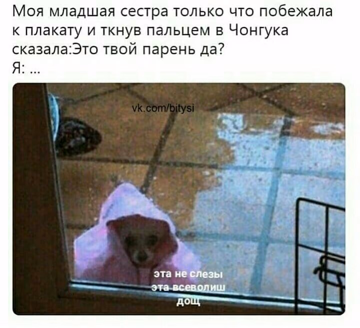 8b6f09d56d507555868e7d1345288195.avif