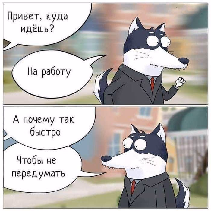 8b74ee3c1dcda6d024531f4fdf2dfd8a.jpg