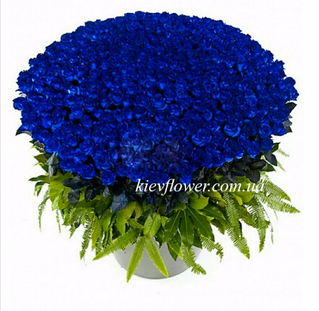 8b86f0edab70e6848d8c78e20a397fb1.avif