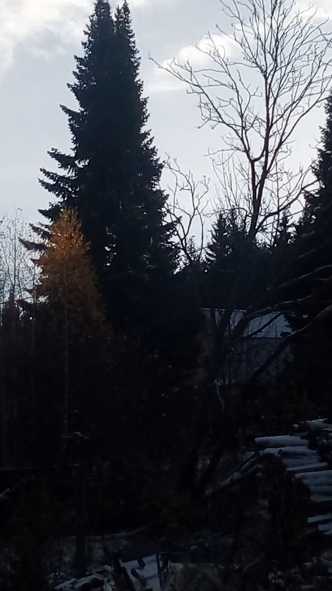 8b8e424afae14a4acb32251147285bd5.jpg
