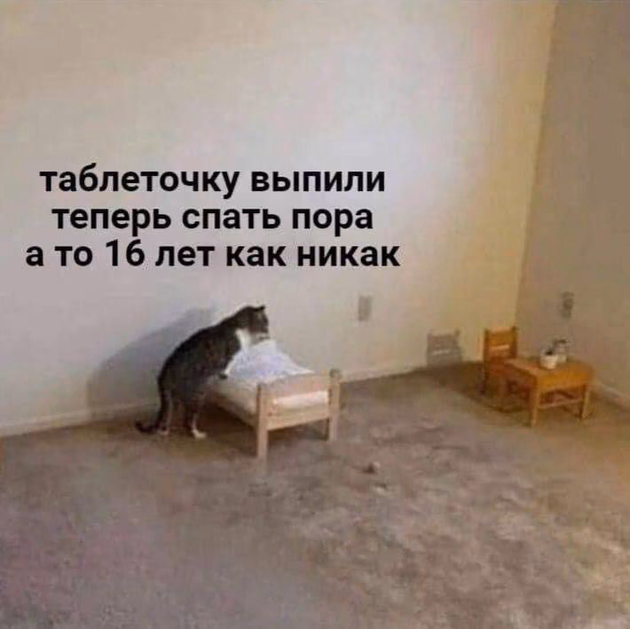 4baa32b3b24fadfe758febbd2c58e2d3.jpg