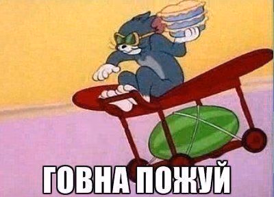 8b95c0626dfdb95c5ef3804571facc15.avif