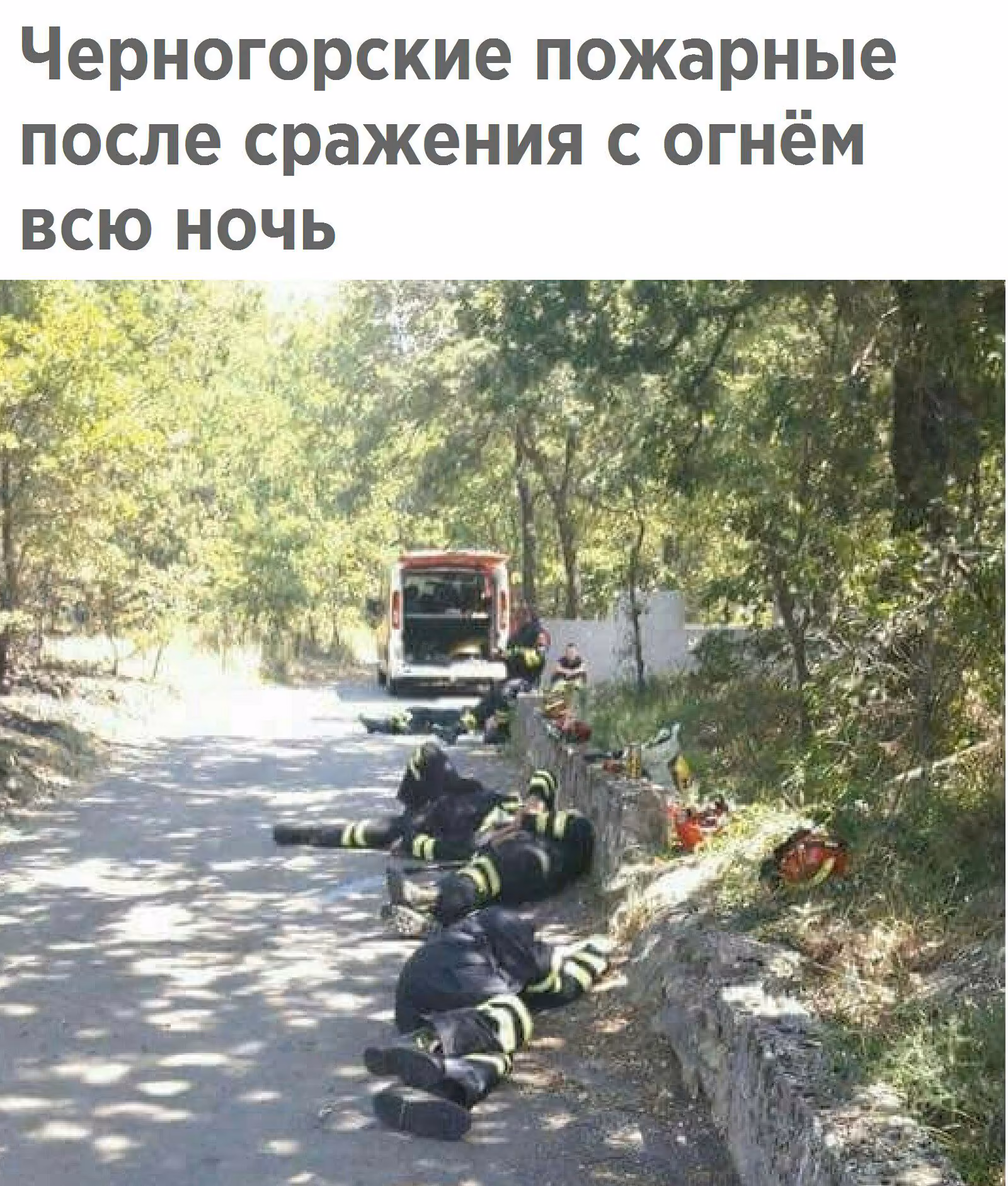 8b9fb9fe5090b37478d66e502bf9d64a.avif