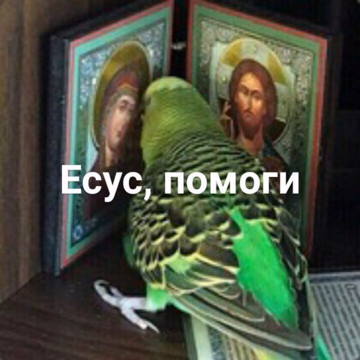 8baec03be5b14cb1247d61c1a9081882.jpg