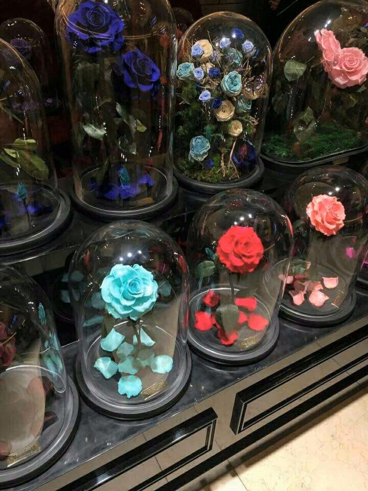 8bb526d47b9f3b1c61b1e781df89c3f7.jpg