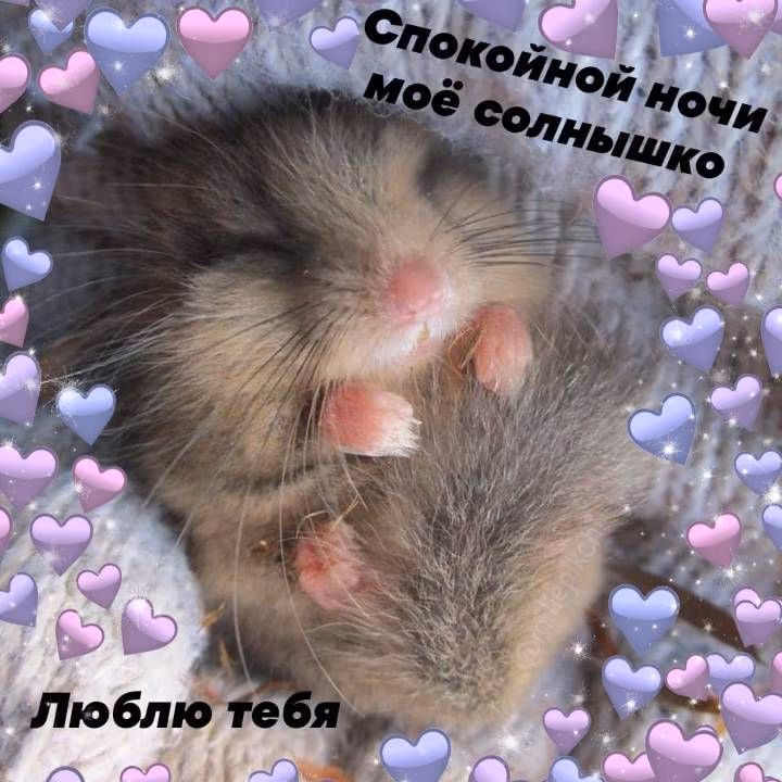 8bb8f2021392391dd73bb8e32ab8c484.avif