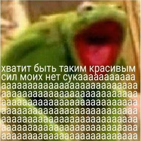 8bb937bd56c80c3a9989094c869407db.avif
