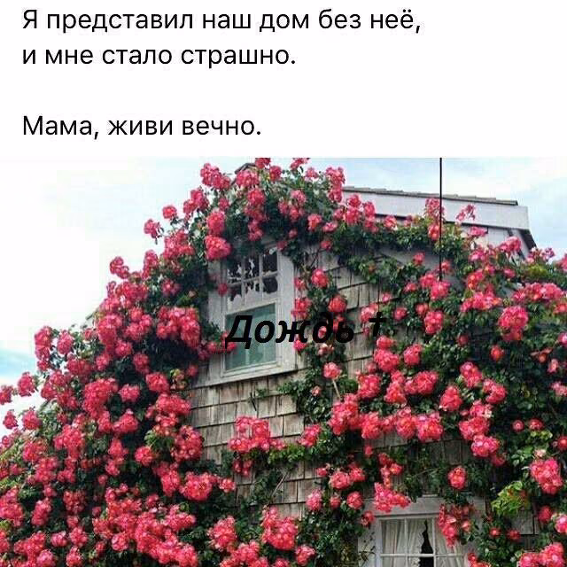8bbe967da2535cd050cd45e572c35e03.jpg