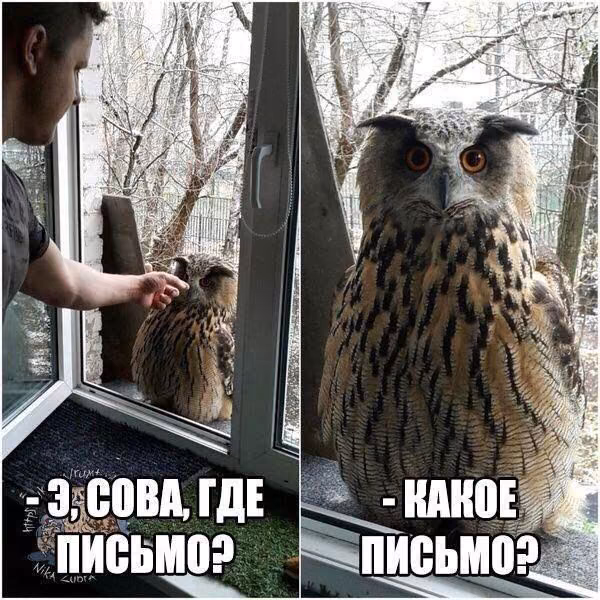 8bbebecee183b1491821c51a4743ad37.avif