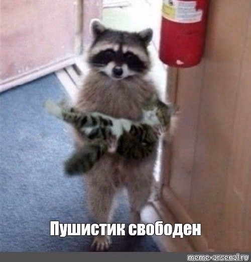8bc4555edc0a045bb49f5bdb7ee60811.jpg