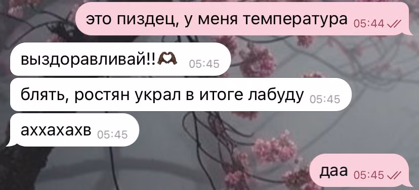 8bd06a59d28aadb96dbee51334967cd5.avif