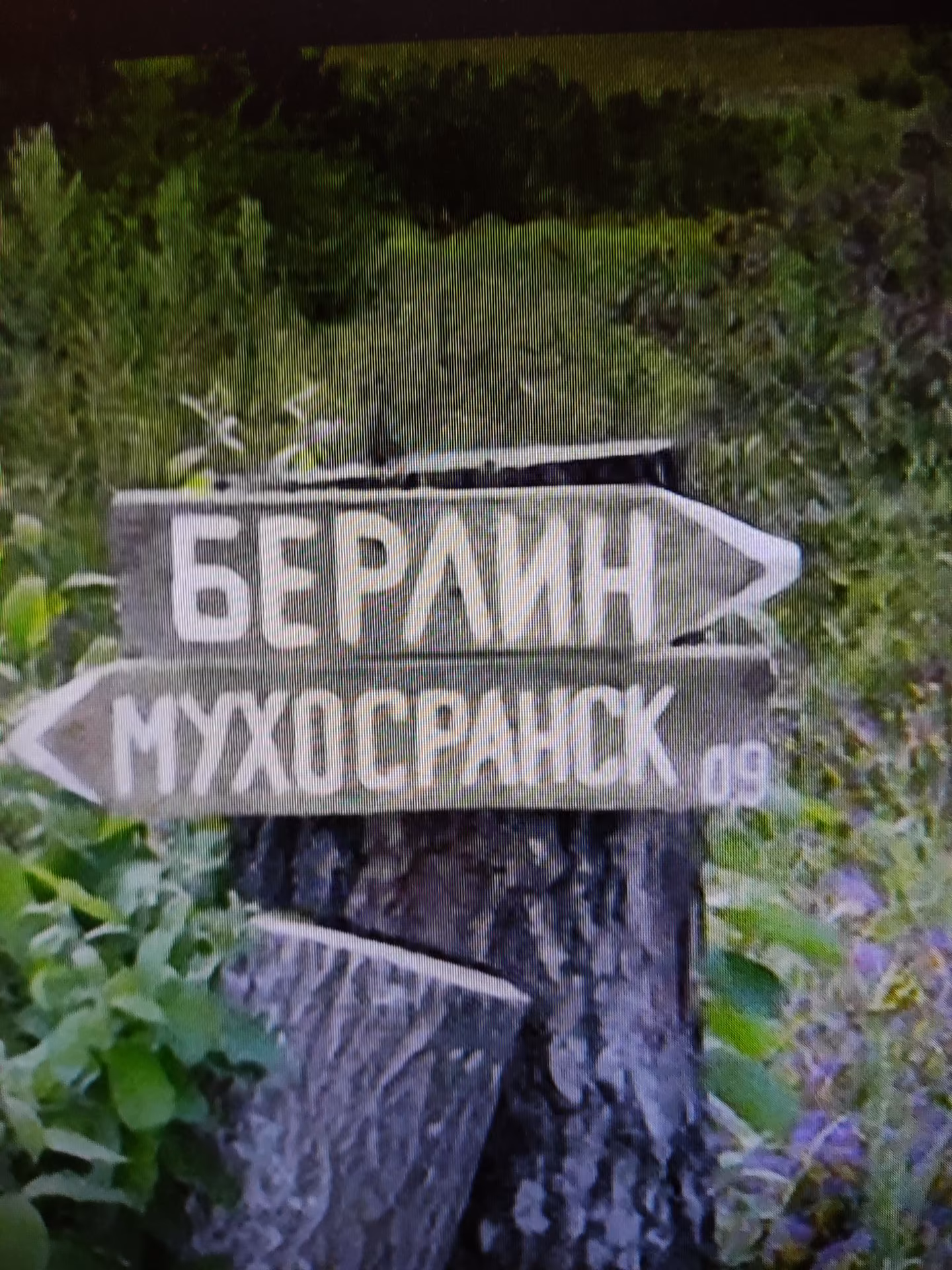 8be9eea6b7c841b6b6b91ff58d0b602d.avif