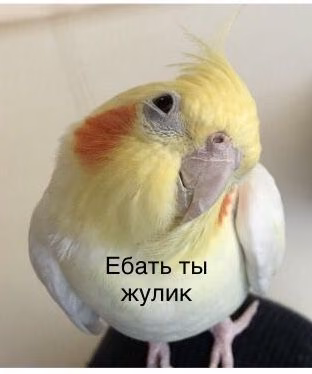 8bea4717966f4b0e17e285fa74452bba.jpg