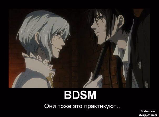 8bf497456903a3a3bc5bf255c207c508.avif