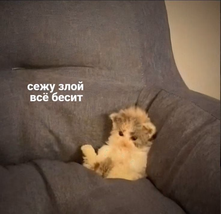 8bf56fa7423df3fb87b4a4a1c34c5e92.jpg