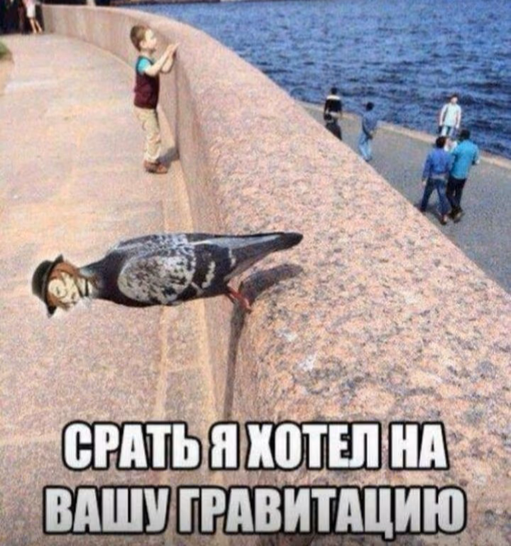 8bf74cd903ff78ba5040b5830a2d67a6.jpg
