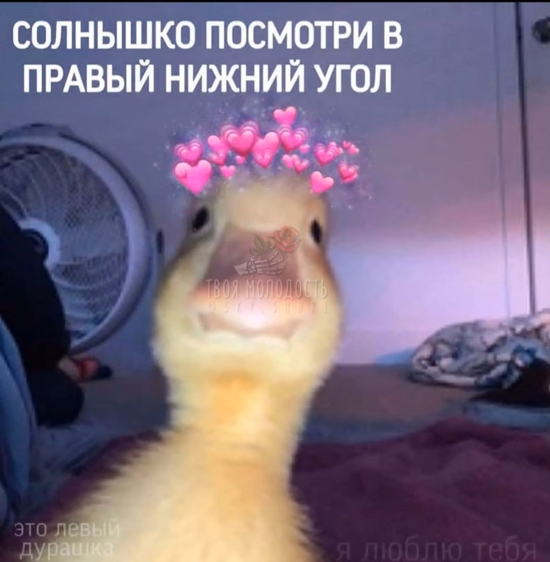 8c0182e808f9851d0423ac0ee4b6fb22.jpg